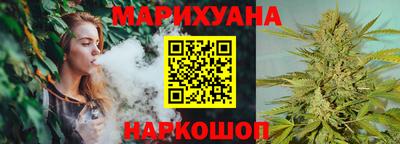 крисы Новодвинск
